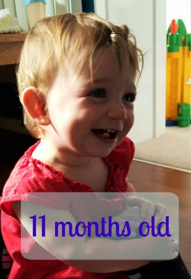 11 months old