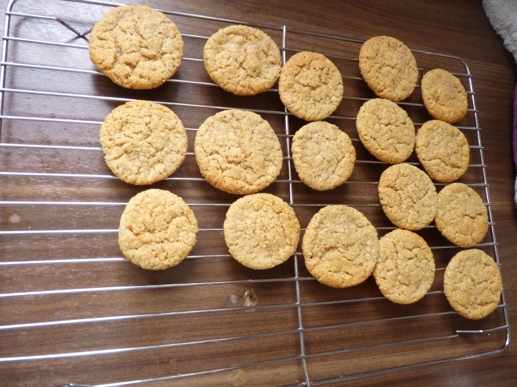baby biscuits cooling