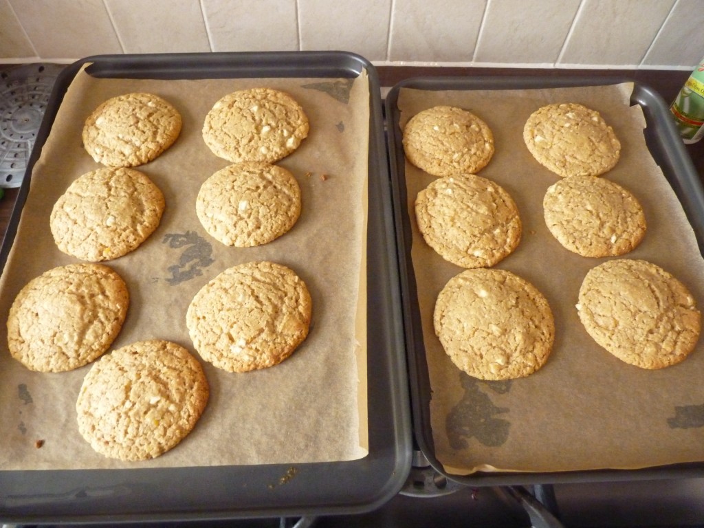adult biscuits fresh from the oven