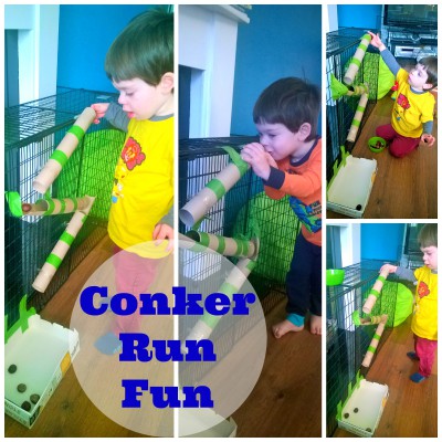 Conker run marble run fun