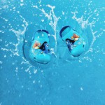 Finding Dory competition with Crocs