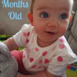 Little Miss at 8 months