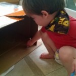 Cardboard box playtime and a slightly more independent Monkey – 16 months
