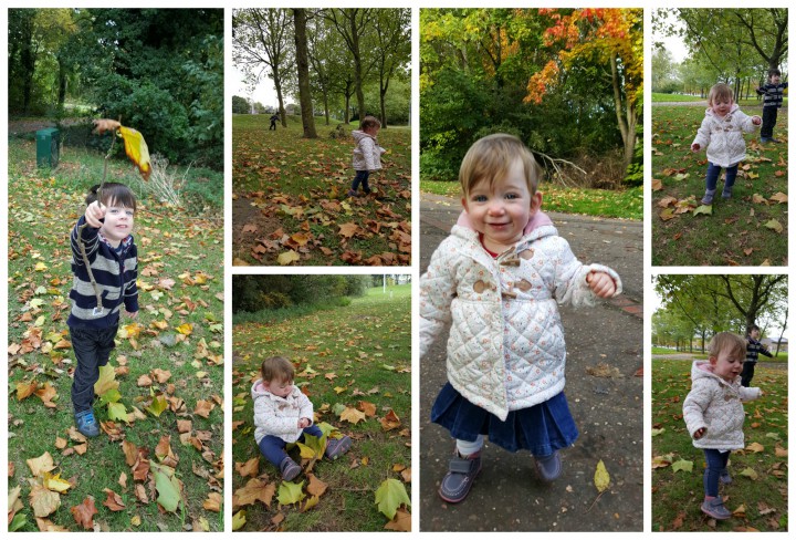 autumn walks