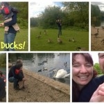 Ducks, Steam Trains and Boats!