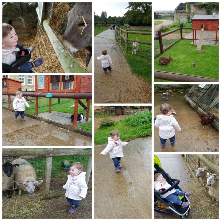 farm fun