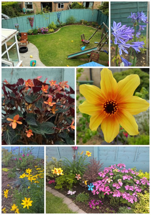 garden aug 2015