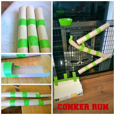 homemade conker run marble run