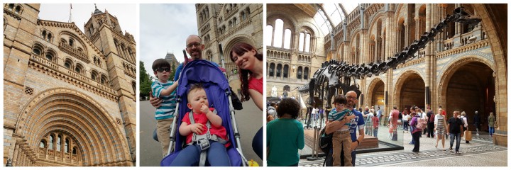 natural history museum