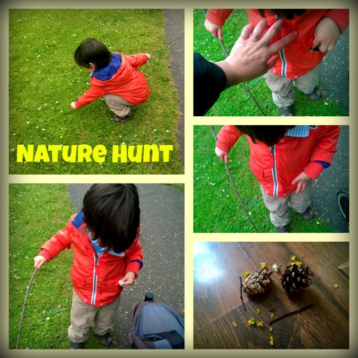 nature hunt