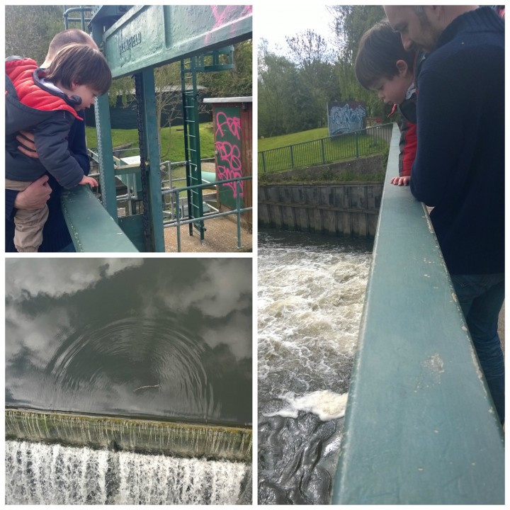 pooh sticks